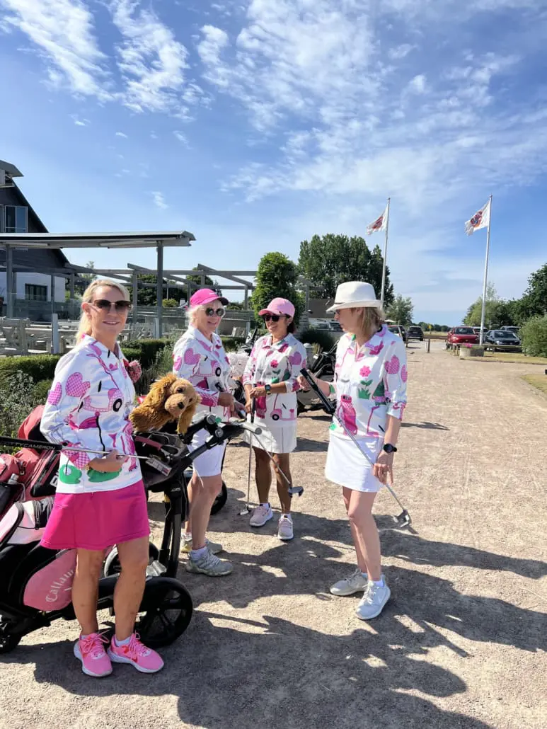 Rosa Pantern lag Pernilla, Cilla, Kirana och Lesley