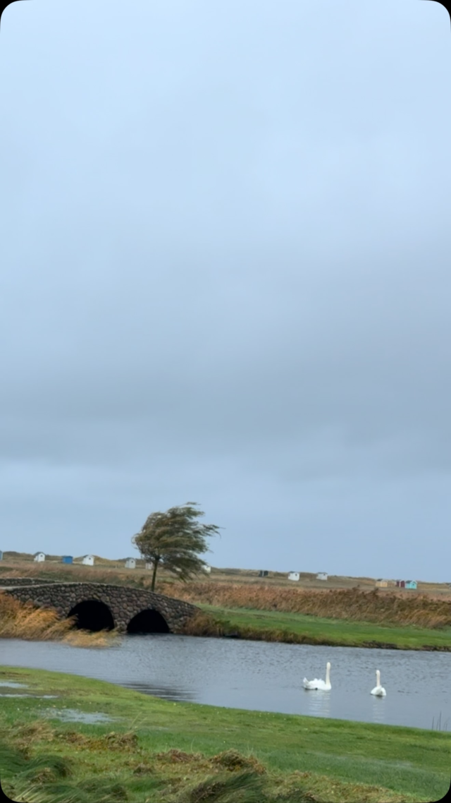Vilket väder 🌪️